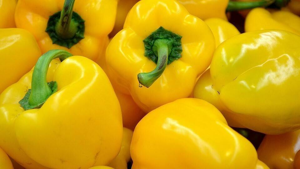 pepper-22111_960_720|pimientoamarillosakata